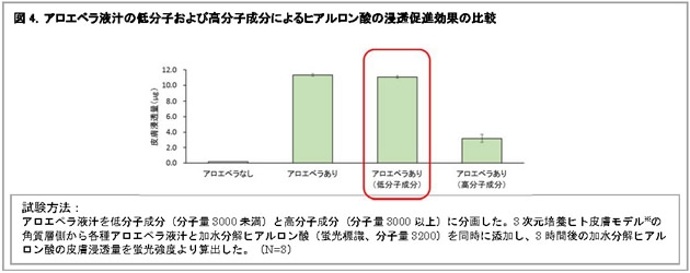 美肌効果の解明が進むアロエベラ液汁　新たに加水分解ヒアルロン酸の皮膚浸透を高める効果を発見