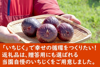 MJmpx1TWZCwNgLbJlHdY.jpg?w=940&h=940