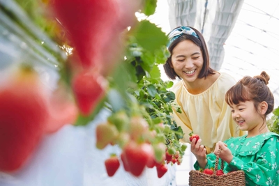 MJp9ZfgozK5LFnRgKzUG.jpg?w=940&h=940