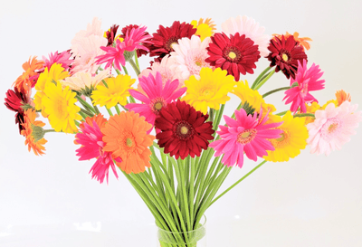 MLjI4i1IW8bGNmnZF7TU.png?w=940&h=940