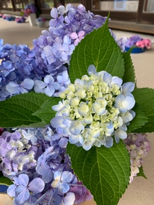 MLyUQy0bjGvNPTnvimjG.jpg?w=940&h=940