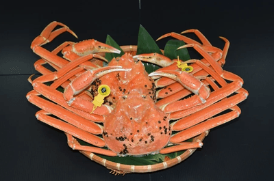 MMHD7yycap93AFWSNUt5.png?w=940&h=940