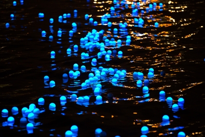 MNU6RXwFP40dkHkGXqDM.jpg?w=940&h=940