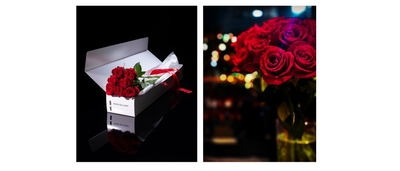 MNXFwdkgTKAZTIcE6HtM.jpg?w=940&h=940