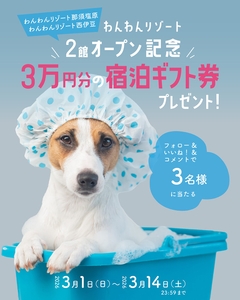 MPnqE8DpavZ7BhMSR43S.jpg?w=940&h=940