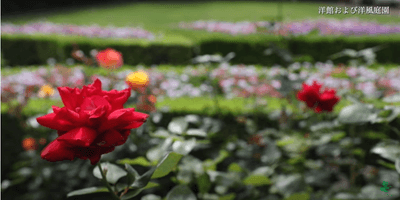 MQG00VOxmzWmkZULAsTz.png?w=940&h=940