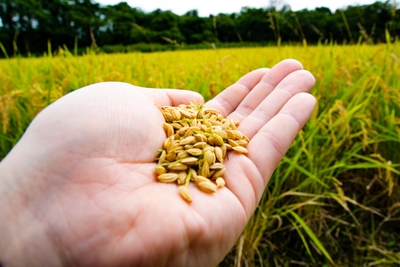 MRNrZP2snHv1G4wUvPXg.jpg?w=940&h=940