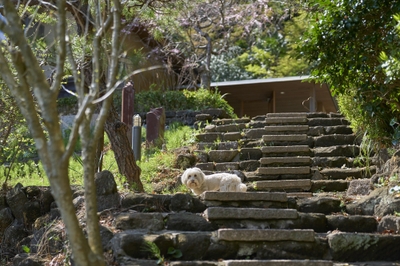 MRaGIKE908g5njAMv0OJ.jpg?w=940&h=940