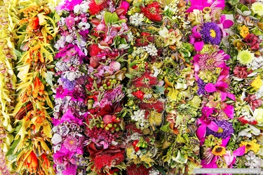 ハワイ州観光局、「レイデー」主要イベント情報をallhawaiiで公開