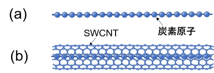 図1 (a) カーボンチェーンと(b) SWCNTに内包されたカーボンチェーン