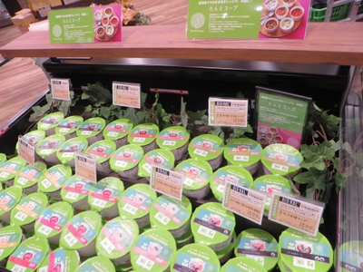 MV2Aq1TsQqLsWRkYBpIJ.jpg?w=940&h=940