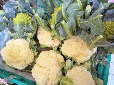 MVWSdop0BaVd4lbqK13H.jpg?w=940&h=940