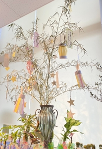 七夕ディスプレイ