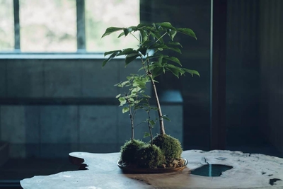 MWOjb5PzqptqhS7e067t.jpg?w=940&h=940