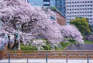 MXzi7IBTSxvCRsBofXHJ.jpg?w=940&h=940