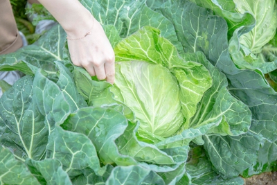 MY7JgZuC6RMqVxRQmek5.jpg?w=940&h=940