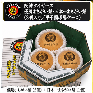 甲子園球場ケース3個入り（優勝2個＋日本一1個、5,500円）
