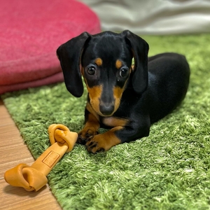 MYUsS3pDG4I4YzP7J9EO.jpeg?w=940&h=940