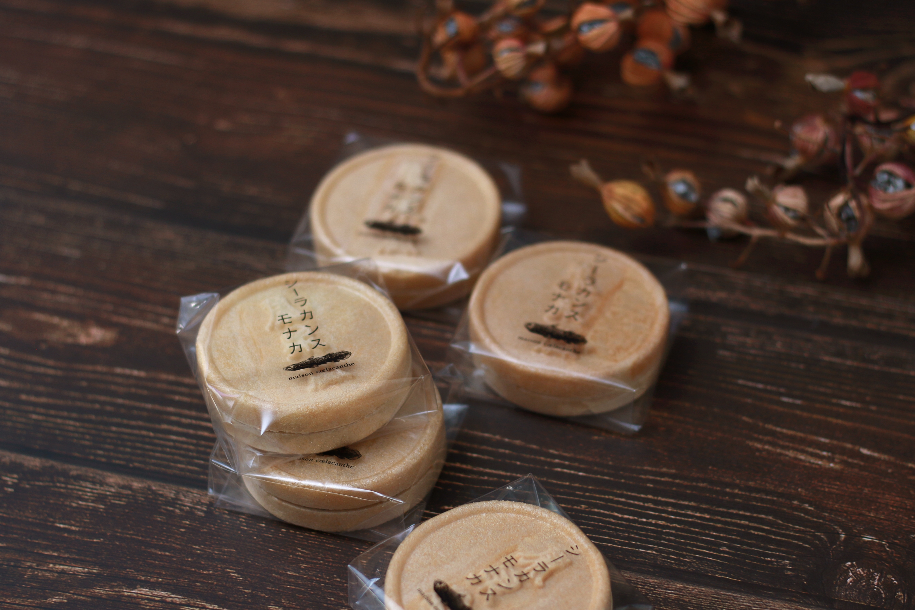 シーラカンス モナカ ※画像はイメージです。