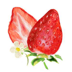 MZhr2gStufO0I9l2KyWt.png?w=940&h=940