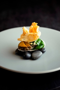 Ma1ubA7tREWNcpzxmQEl.jpg?w=940&h=940