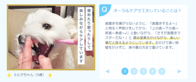 Ma5elFl5kFmLJSqUFtuI.png?w=940&h=940