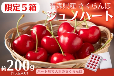 青森県産の稀少な大玉さくらんぼ「ジュノハート」を数量限定販売！ハート型と大きさに驚く！５箱限りの早い者勝ち！ＪＡタウンのショップ「ＪＡ全農あおもり」に新登場
