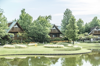 McE1chjBxC0Ku4m0XP9x.jpg?w=940&h=940