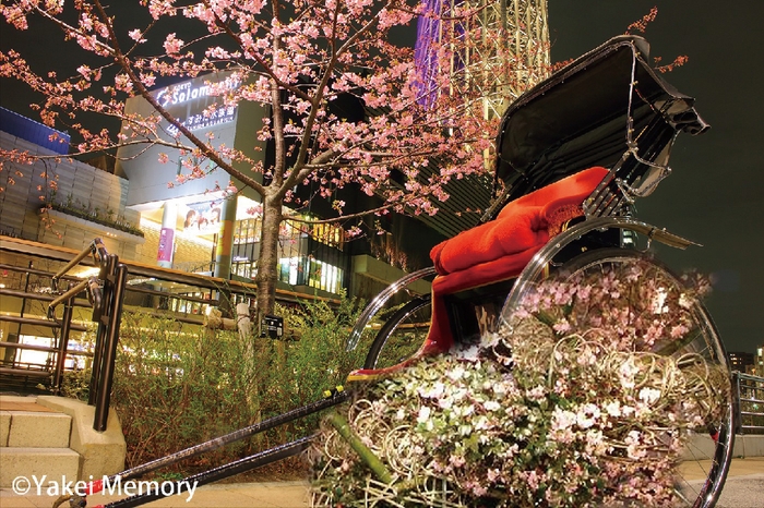 フラワーインスタレーション(イメージ画像)