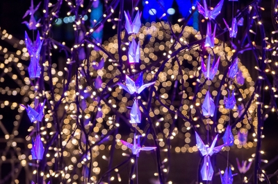 McytXmq8NdxCKfzrpbH4.jpg?w=940&h=940