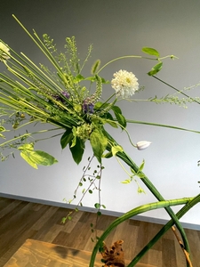 MeA2wAJsWSVDaBKulaCF.jpg?w=940&h=940