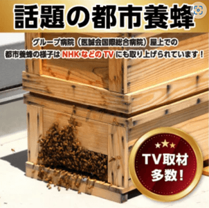 Mf0pzTlWDLzEr4gyYuBE.png?w=940&h=940