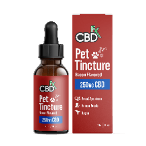 Mf8SU25KtAZNYLt8hFok.png?w=940&h=940