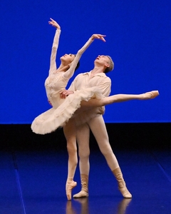 MfsdXjMxhfUZnOek5zp7.jpeg?w=940&h=940