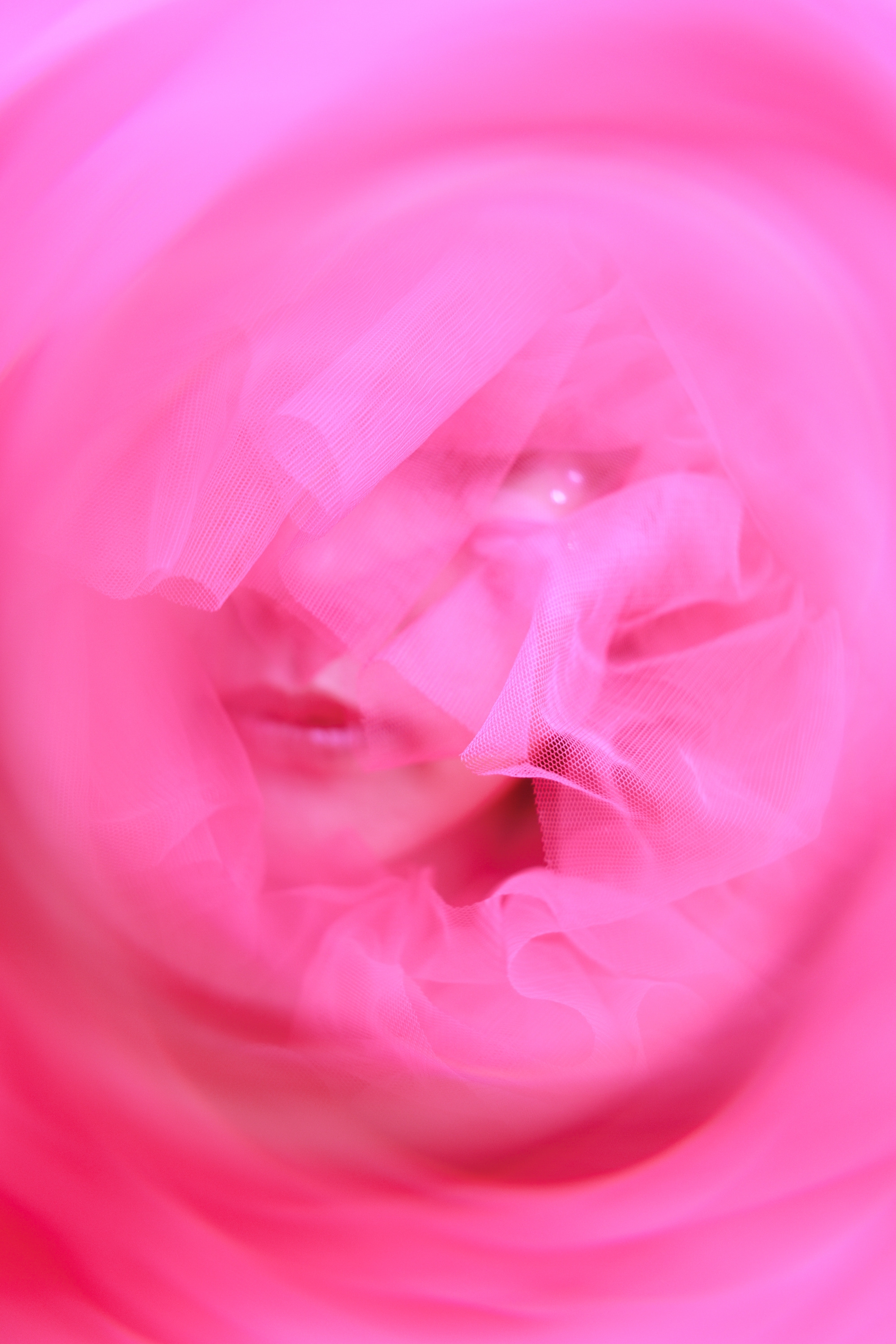 写真家＜清田大介＞ × 女優＜彩月貴央＞による写真展 『LUMINA(ルミナ