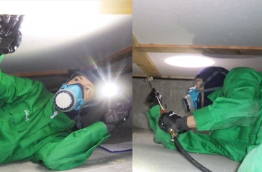 シロアリ予防のテコラ、中古戸建購入者向け 「新居祝い割引」を10月8日開始　 10年保証付きシロアリ対策で新生活をサポート