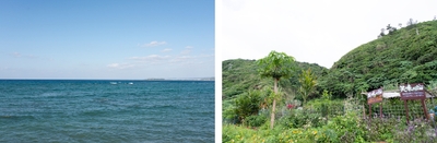 MidvrxsNy7OEQlc1Umce.jpg?w=940&h=940