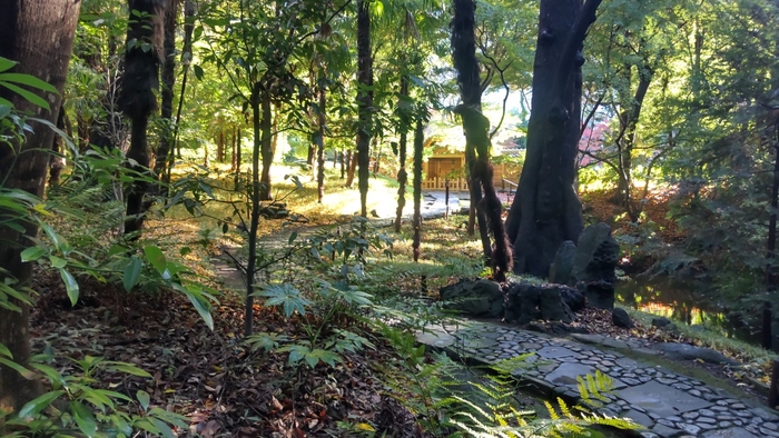 木曽路(※イメージ)