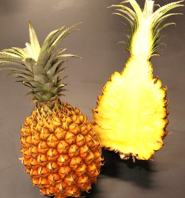 沖縄県産ボゴールパイン