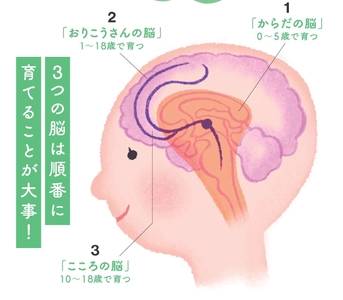 「賢い脳」は脂が9割　 学力より“地頭力” ―10年後の未来に差がつく 『育脳ごはん』の新常識　 ～カギは “毎日のオメガ3” 脳は食べ方で変えられる～