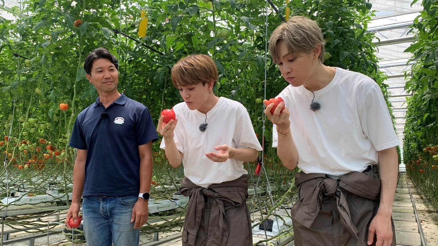 FANTASTICS畑 全員集合!福島夏野菜スペシャル 場面写真(12)