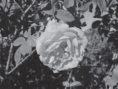 MmN620ukOA784JJhskD7.jpg?w=940&h=940