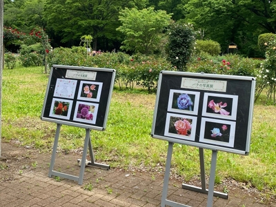 MmY6V7gJWgtCdPzziIrw.jpg?w=940&h=940