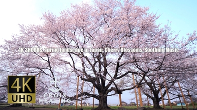 MppGMVdV5zEcPYjo3Z2B.jpg?w=940&h=940