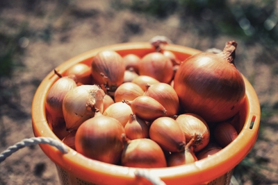 Mq0375s5bciWQhZJnxy0.jpg?w=940&h=940