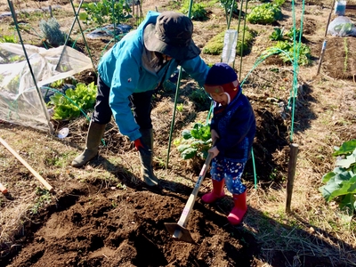 MupMCUSP3mjlVim7fY5x.jpg?w=940&h=940