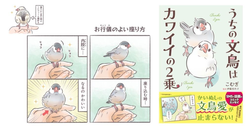 未公開写真を含む膨大な公式写真に解説を加えた貴重な資料集
