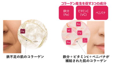 イメージ図　鉄分＋ビタミンC＋ベニバナの肌への影響