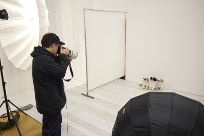 Mx1hIQVi3OWk2tioDOlM.jpg?w=940&h=940