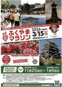 MxM4Wqpa5D2tOIWUR2o7.png?w=940&h=940